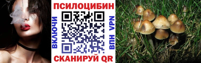 mega маркетплейс Саки Галлюциногенные грибы Cubensis купить наркотики сайты