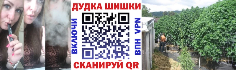Бошки Шишки индика Саки